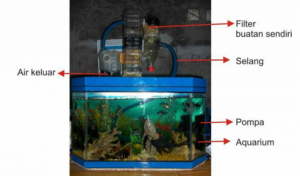 Filter Aquarium 2