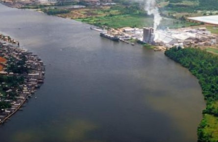 Cara Mengecek Kemurnian Air Tanpa Penjernih Air Cara Mengecek Kemurnian Air Tanpa Penjernih Air