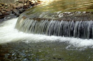 Cara Menjernihkan Air Sungai Pakai Penyaring Air Biji Kelor