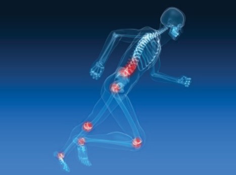 5 Fungsi Air Bersih untuk Tubuh Manusia dan Water Filter